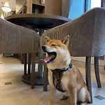 Hotel Calvary & Restaurant