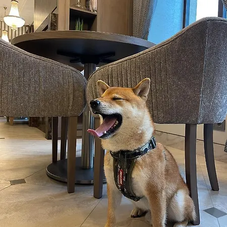 Viešbutis Calvary & Restaurant