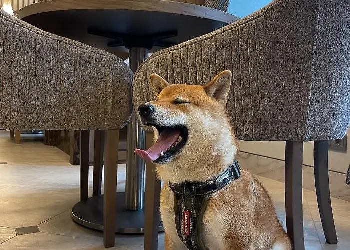 Hotel Calvary & Restaurant