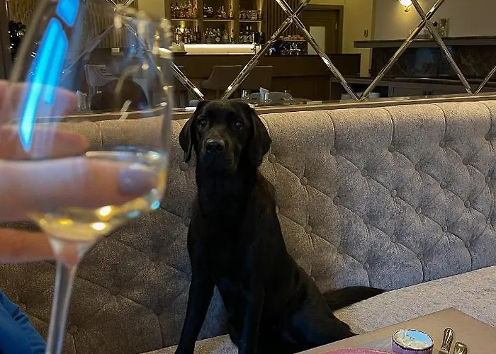 Calvary & Restaurant ホテル